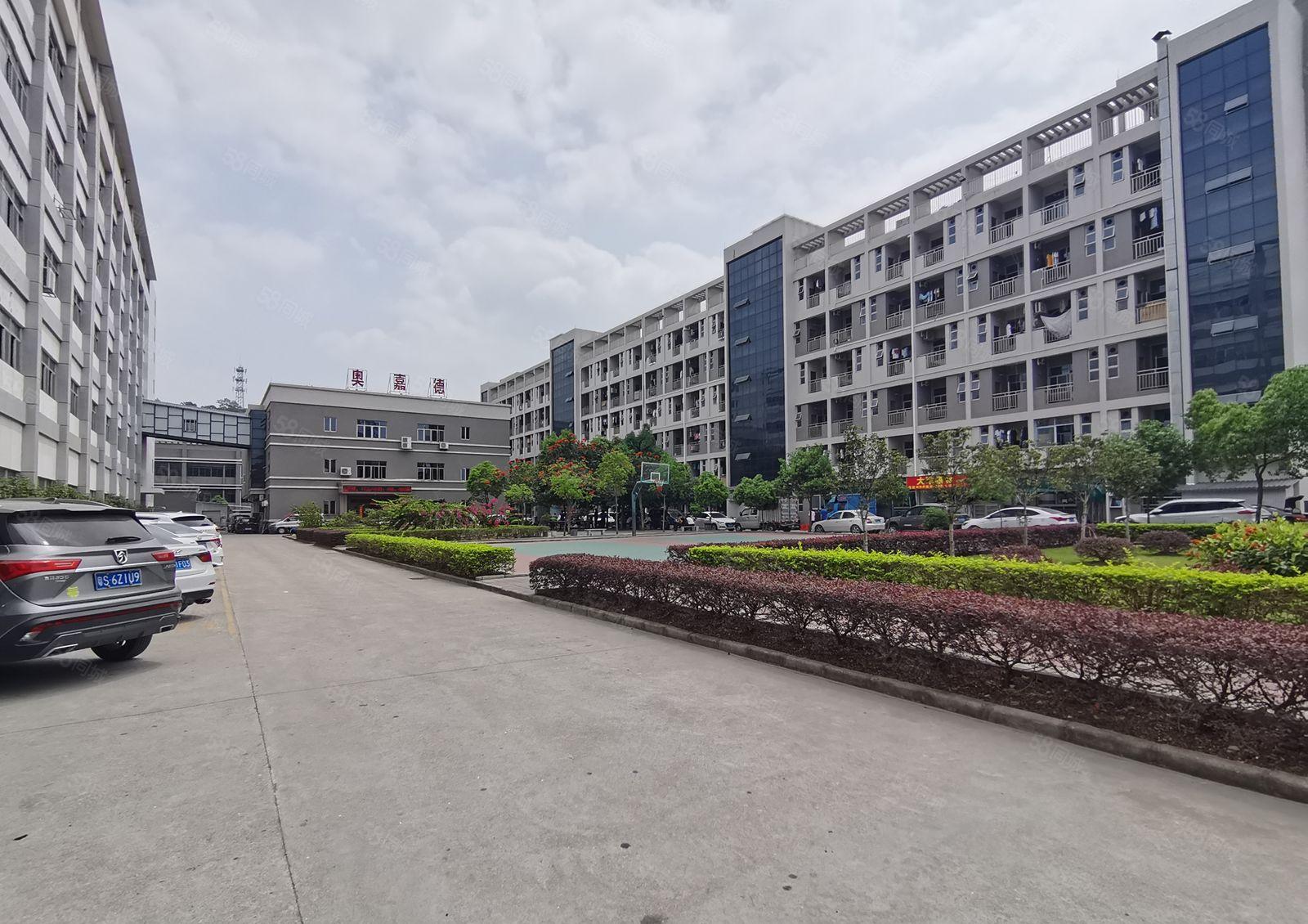 石岩新出500平起出租厂房原房东2万平方红本独院厂可办环评