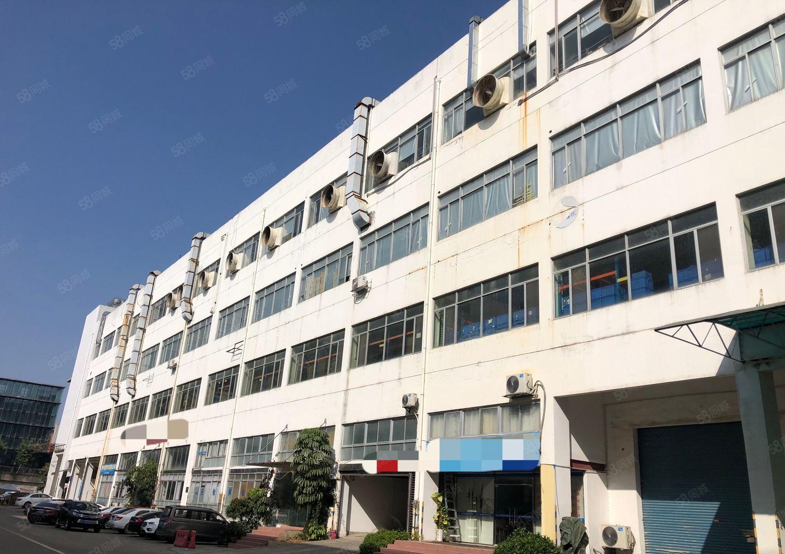 60天免租期松岗工业区新出房源800平精装厂房办公仓库出租