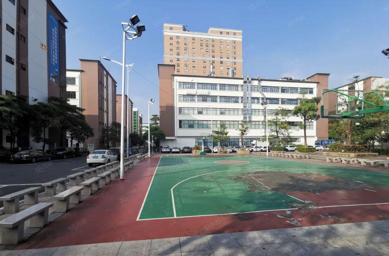 西丽200至2000平花园式工业园厂房仓库办公室低价出租