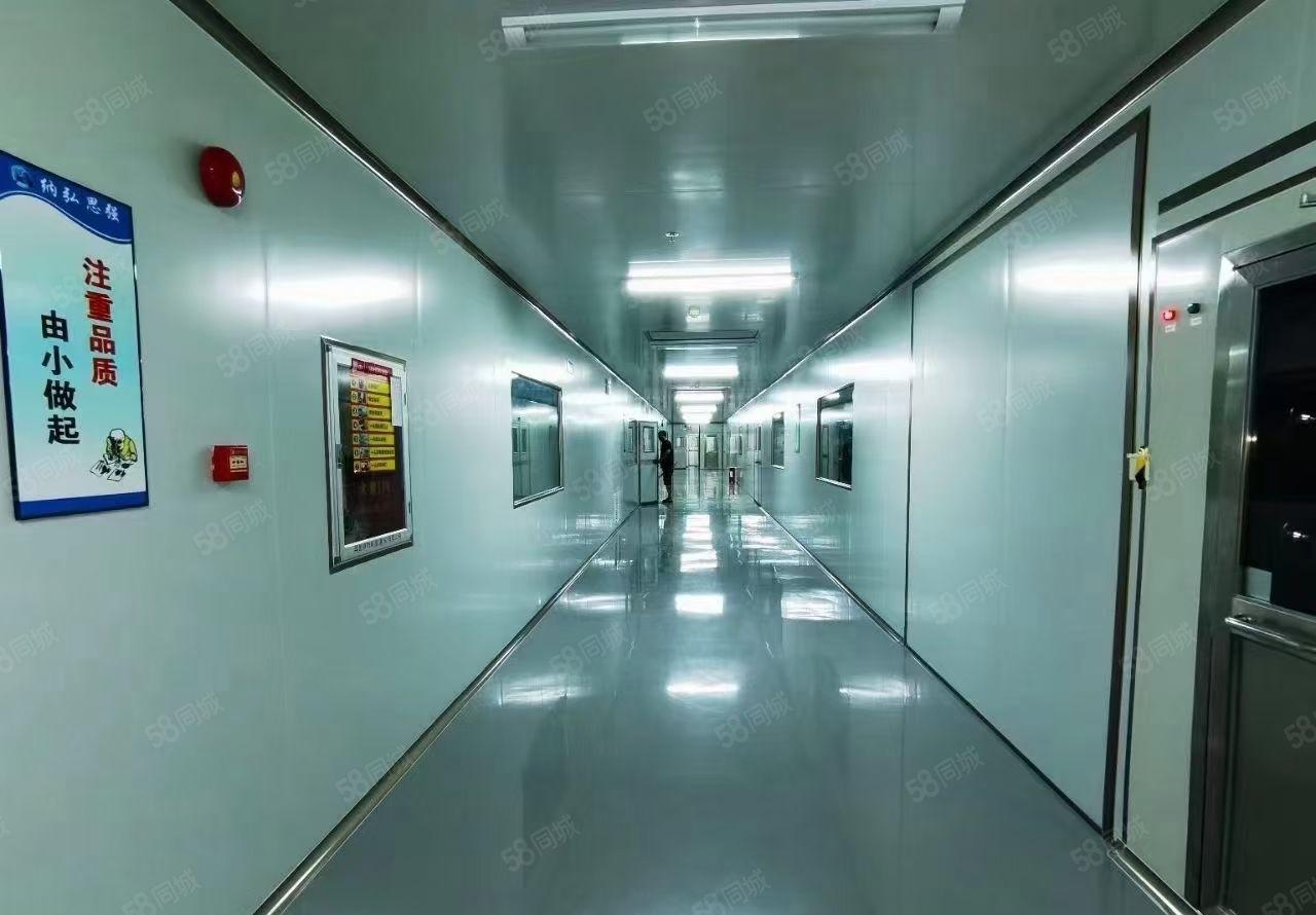 石岩高新产业园新出厂房1000平带办公室装修无尘车间可分租整