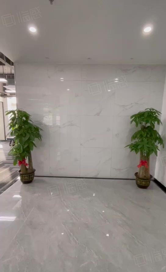 宝安石岩松白路边，地铁口，豪华装修，入住即可使用，大小可分租