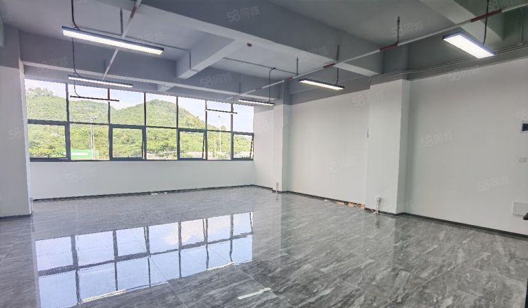 南山西丽留仙洞产业基地办公，研发368平全新精装修