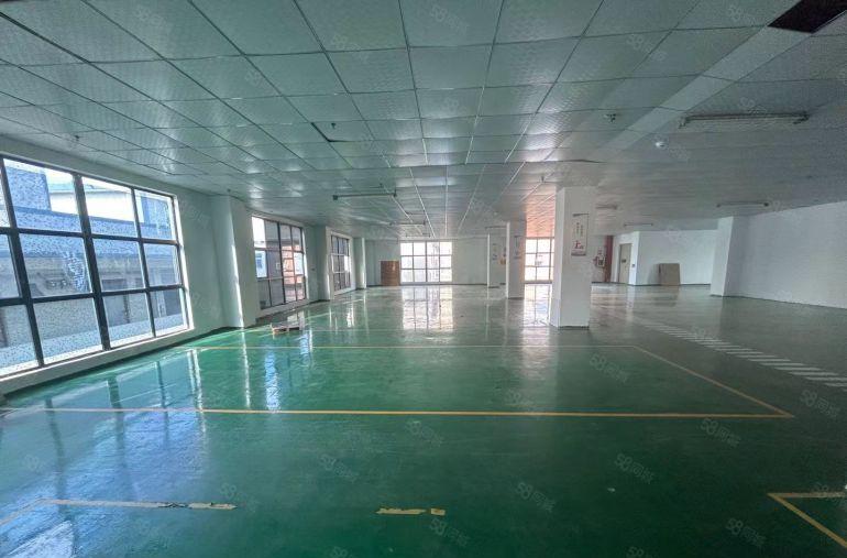 沙井新桥工业区厂房出租200平500平1000平至5000平