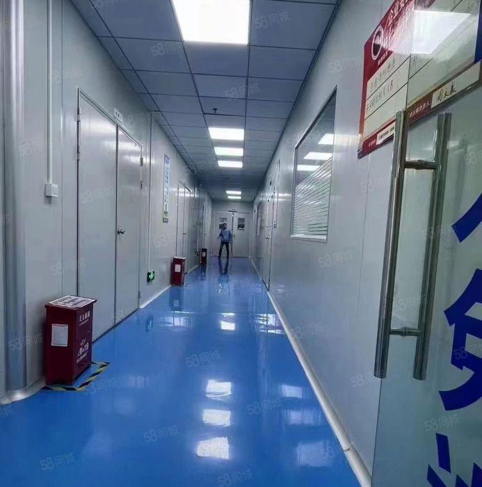 松岗高薪园区楼上豪华精装修1000平厂房出租办公研发生产总部