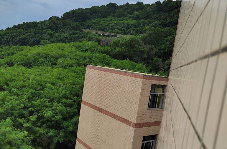 银田西发雍启科技园350平米长租期厂房，创业福地。