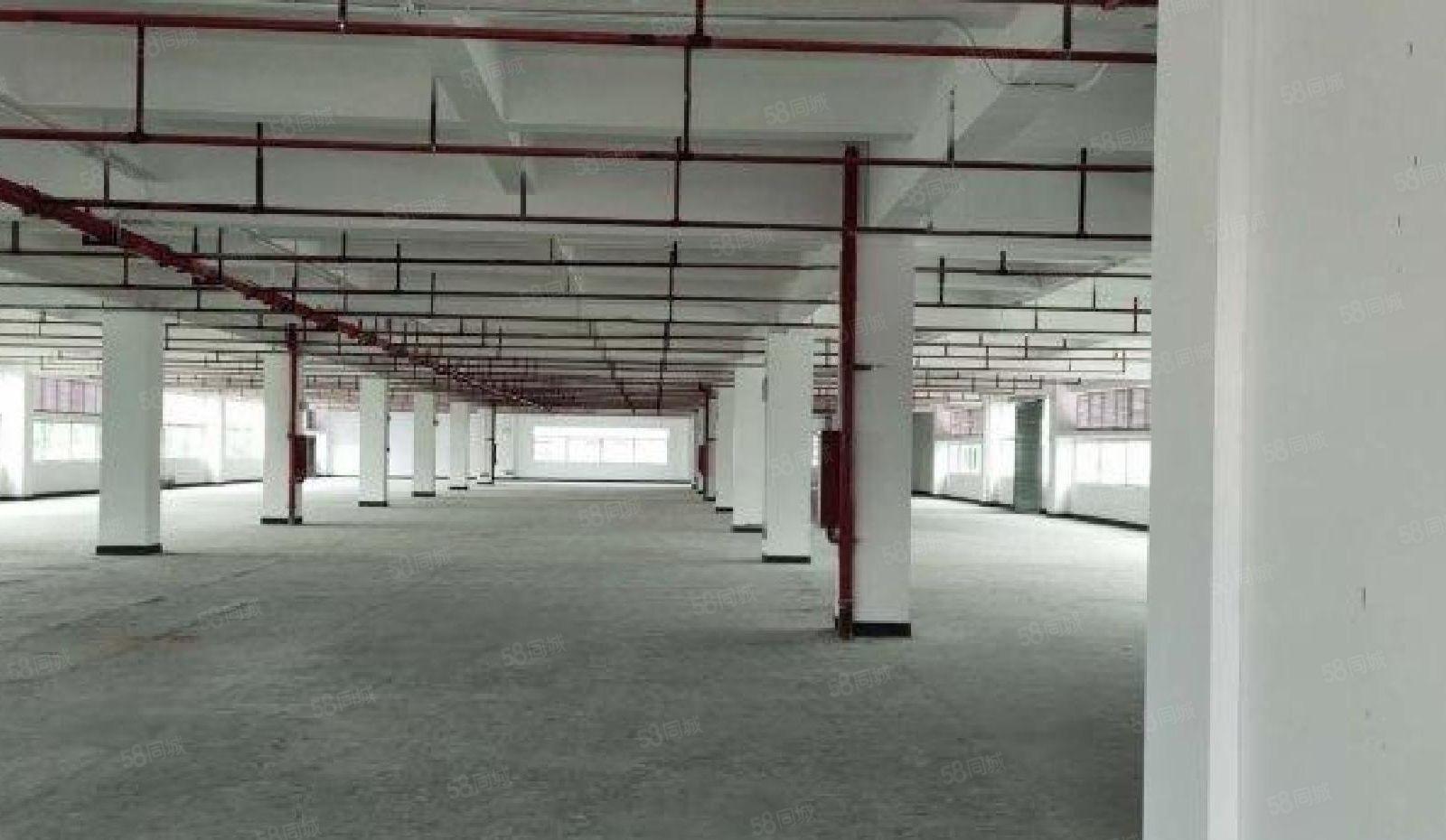 福永高新园一楼二楼三楼各2000平仓库办公室厂房出租独院