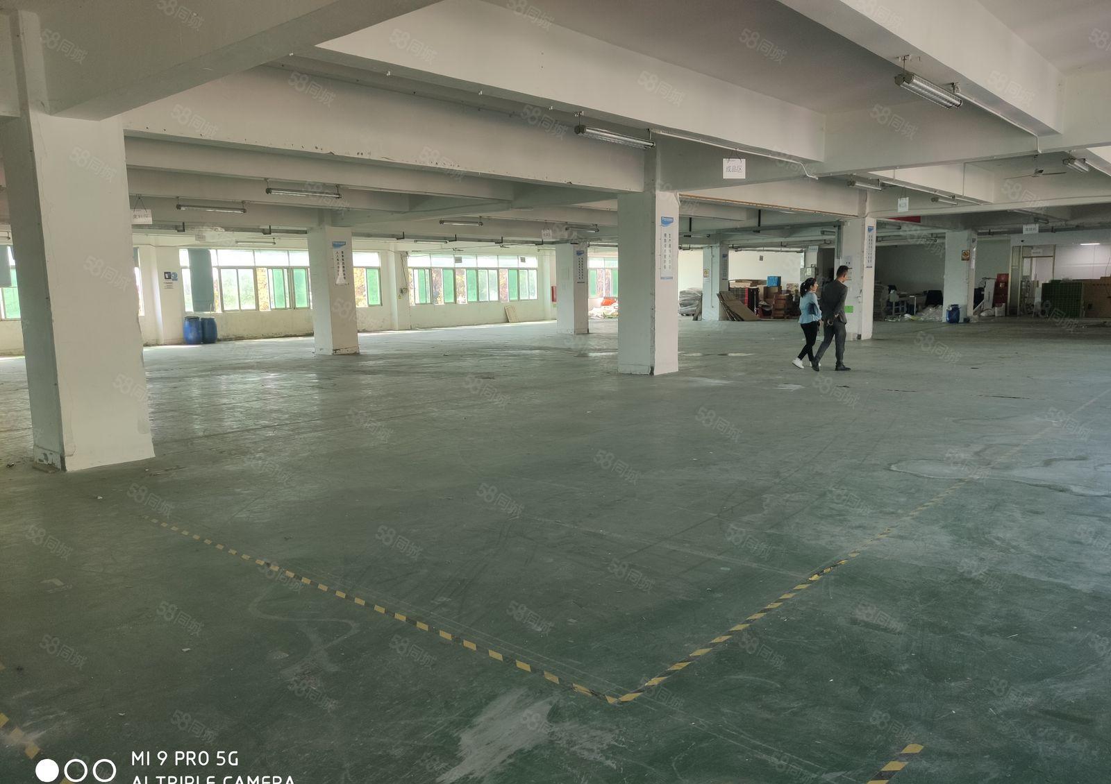 黄麻布洲石路边新出楼上整层2000平米厂房招租