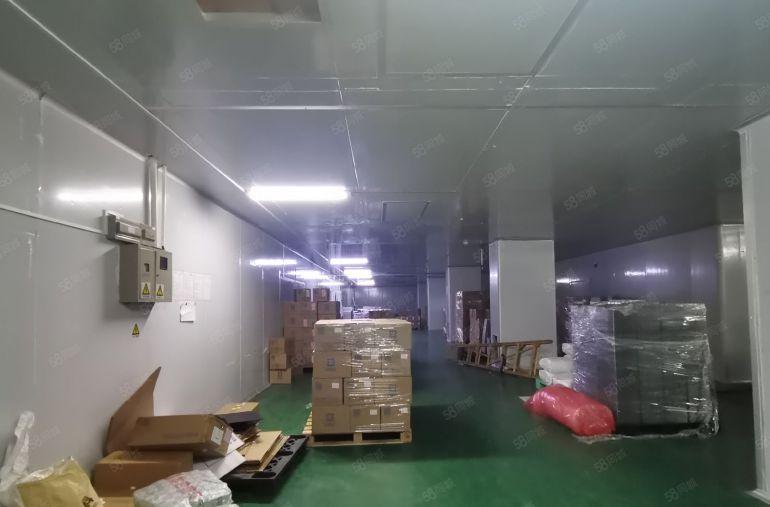 福永塘尾1450平方精装修无尘车间工业园区厂房低价出租