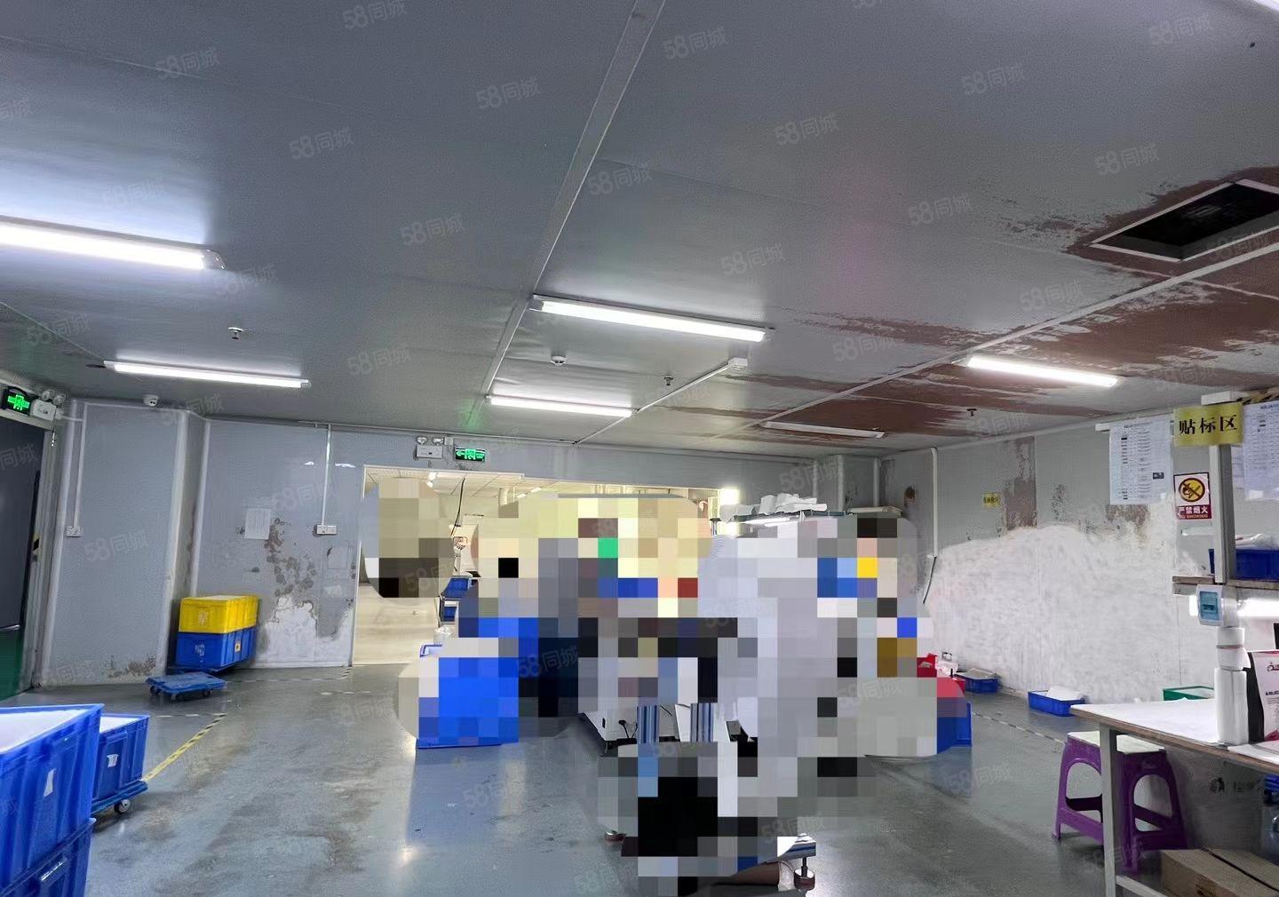 西乡桃源居新空出豪华装修无尘车间1700平原房东直租带红本