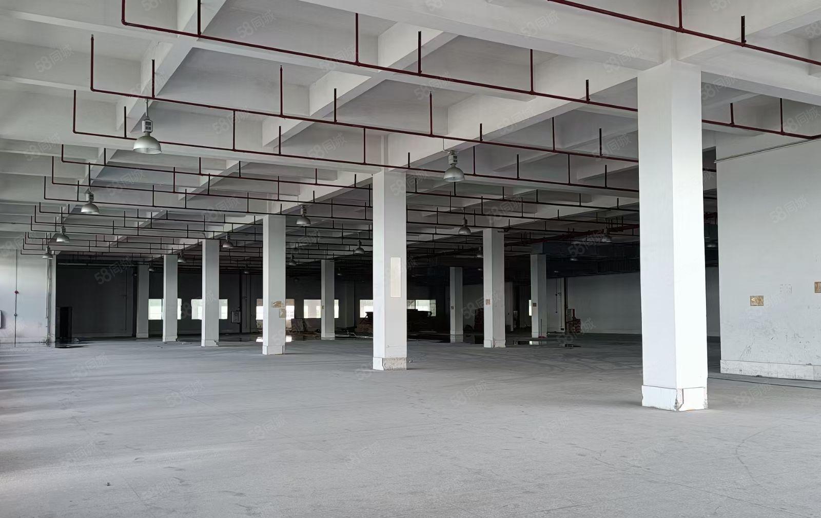 深圳石岩原房东3000平红本厂房，高速口500起分租可整栋.