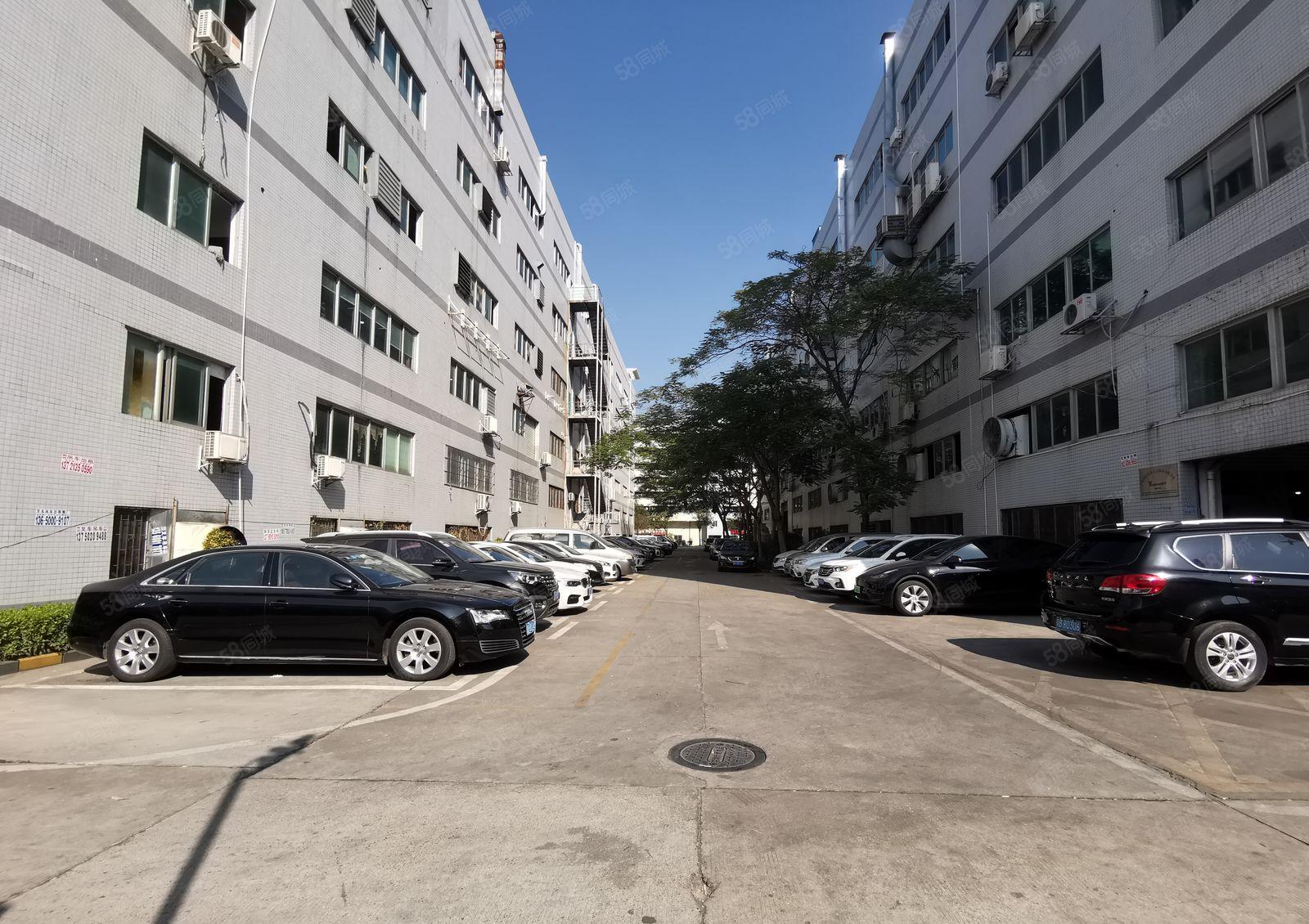 福永桥头地铁口200平至3000平厂房出租 精装修，拎包入住