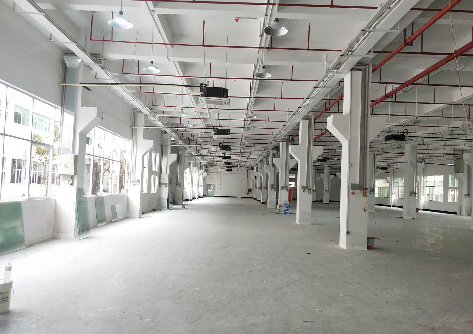 福永原房东一楼层高六米整层1500平实际面积出租能进出拖头