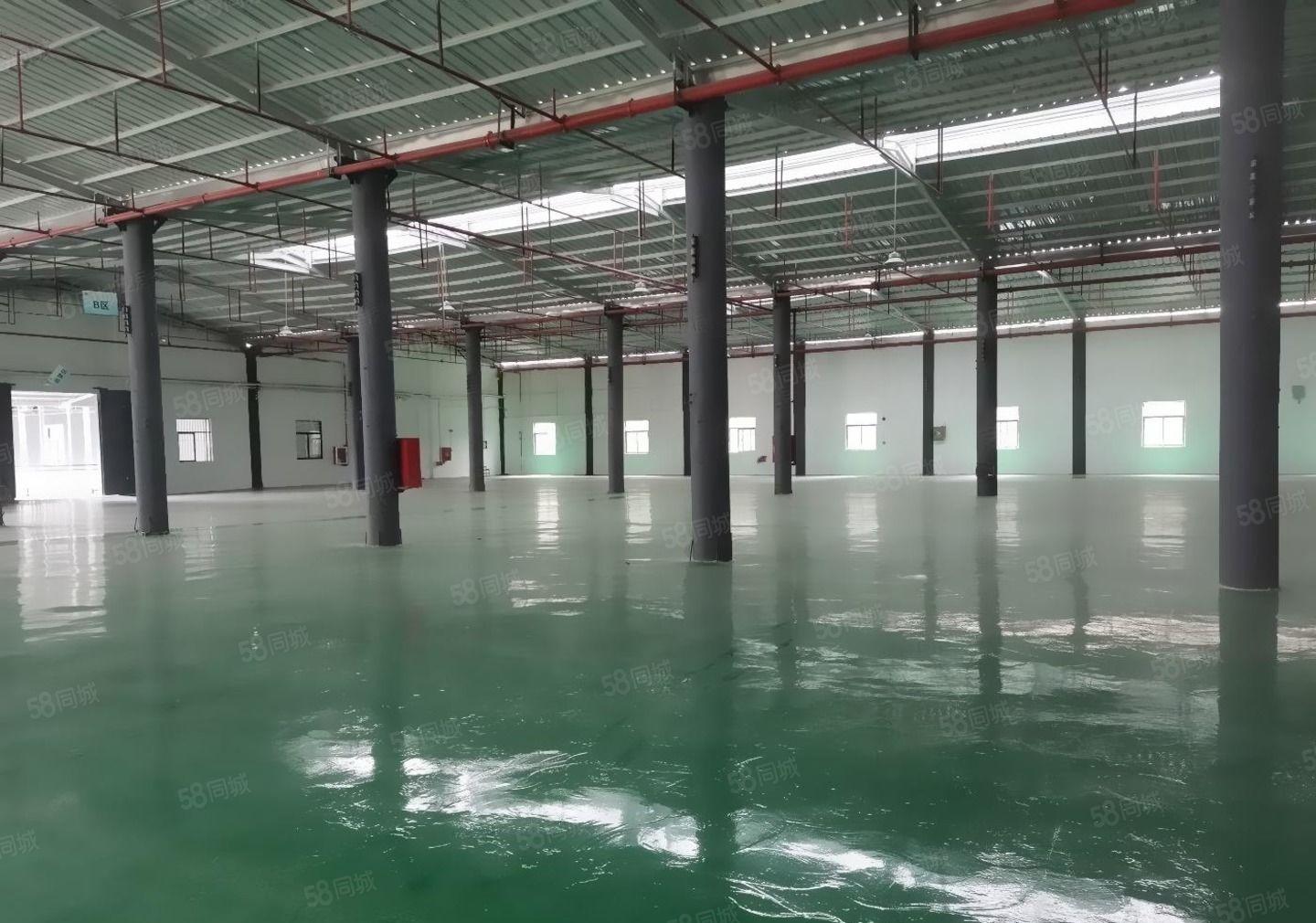 石岩石龙仔工业园独门独院原房东红本钢结构5000平方滴水7米