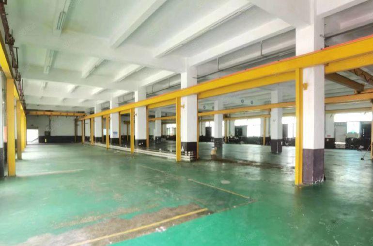 房东直租（松岗3层独院6300平，1000平起分，公摊小）