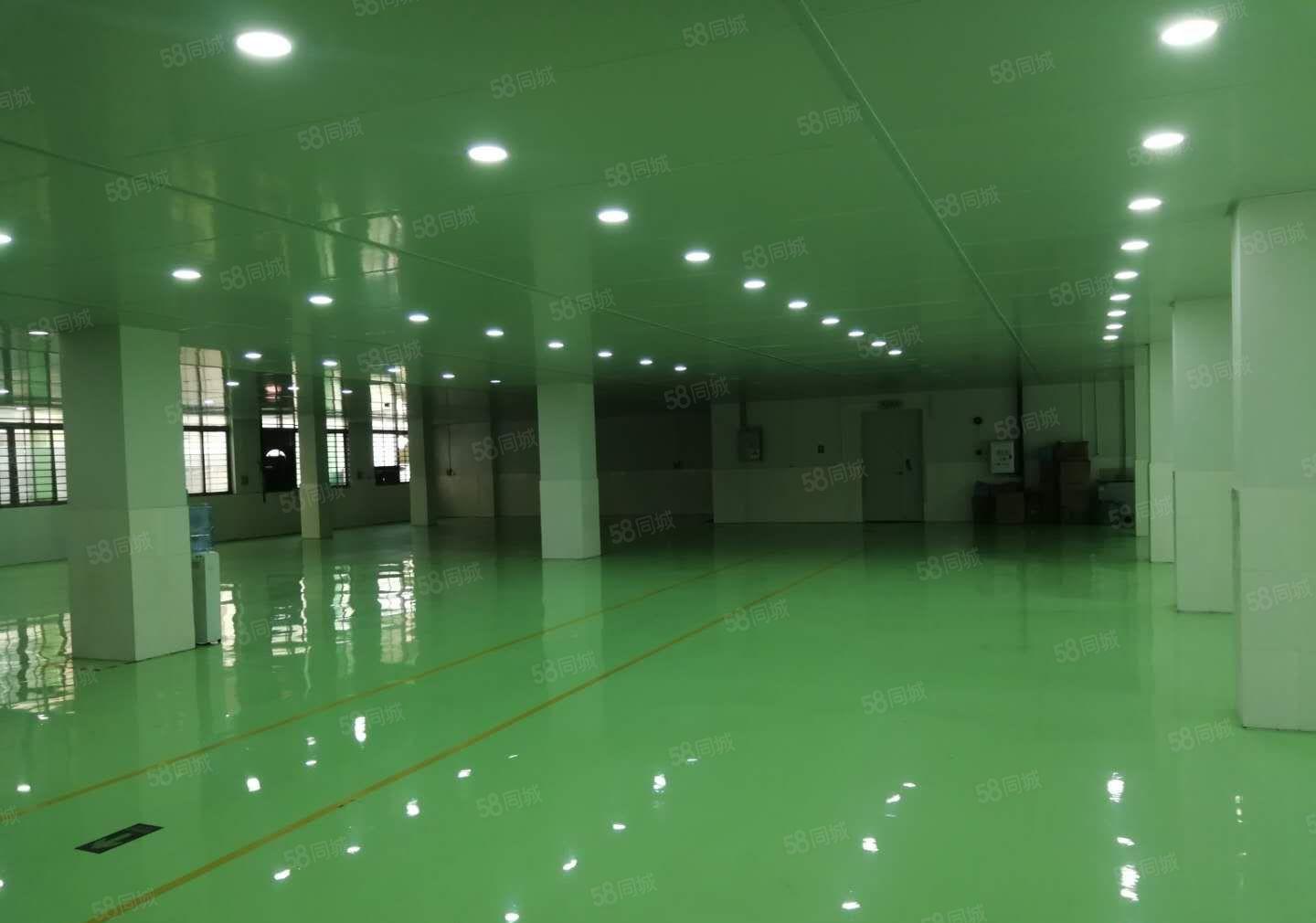 沙井镇新和大道共和附近村委三层楼独院厂房4200平方