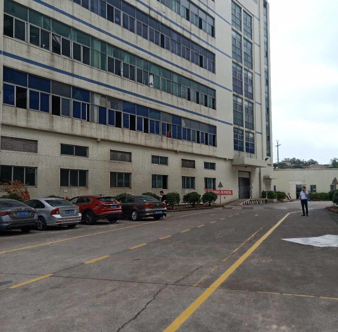 沙井新出1000平至5000平一二楼厂房仓库出租独院大小分租