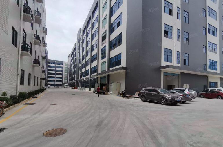 100平起租石岩料坑工业区厂房出租20元起一楼厂房仓库招租合