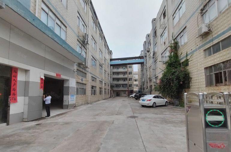 宝安松岗房东直租一楼厂房980平方出租带精装修办公室消防喷淋