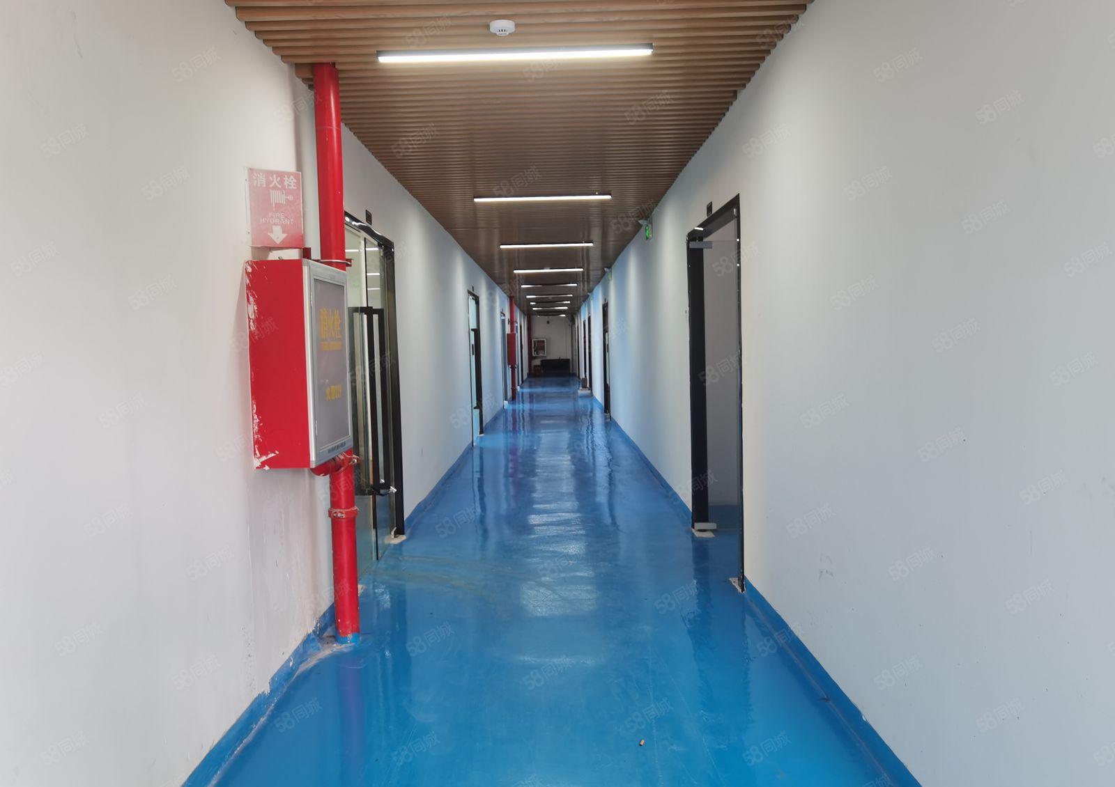 电子加工组装电商仓库小面积带装修厂房