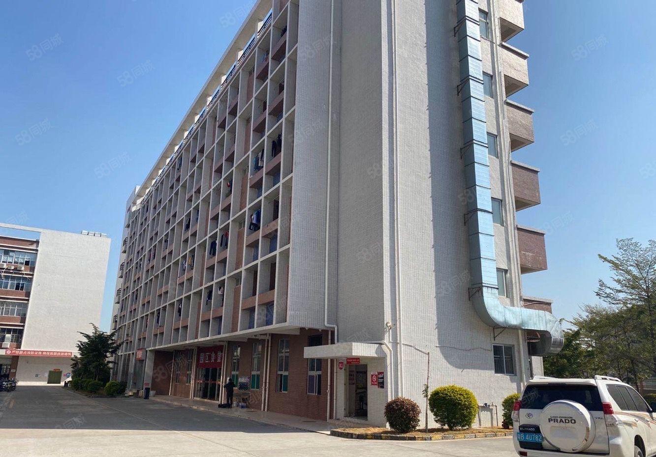 石岩石龙仔科技园整层2500平 环境优美 采光好