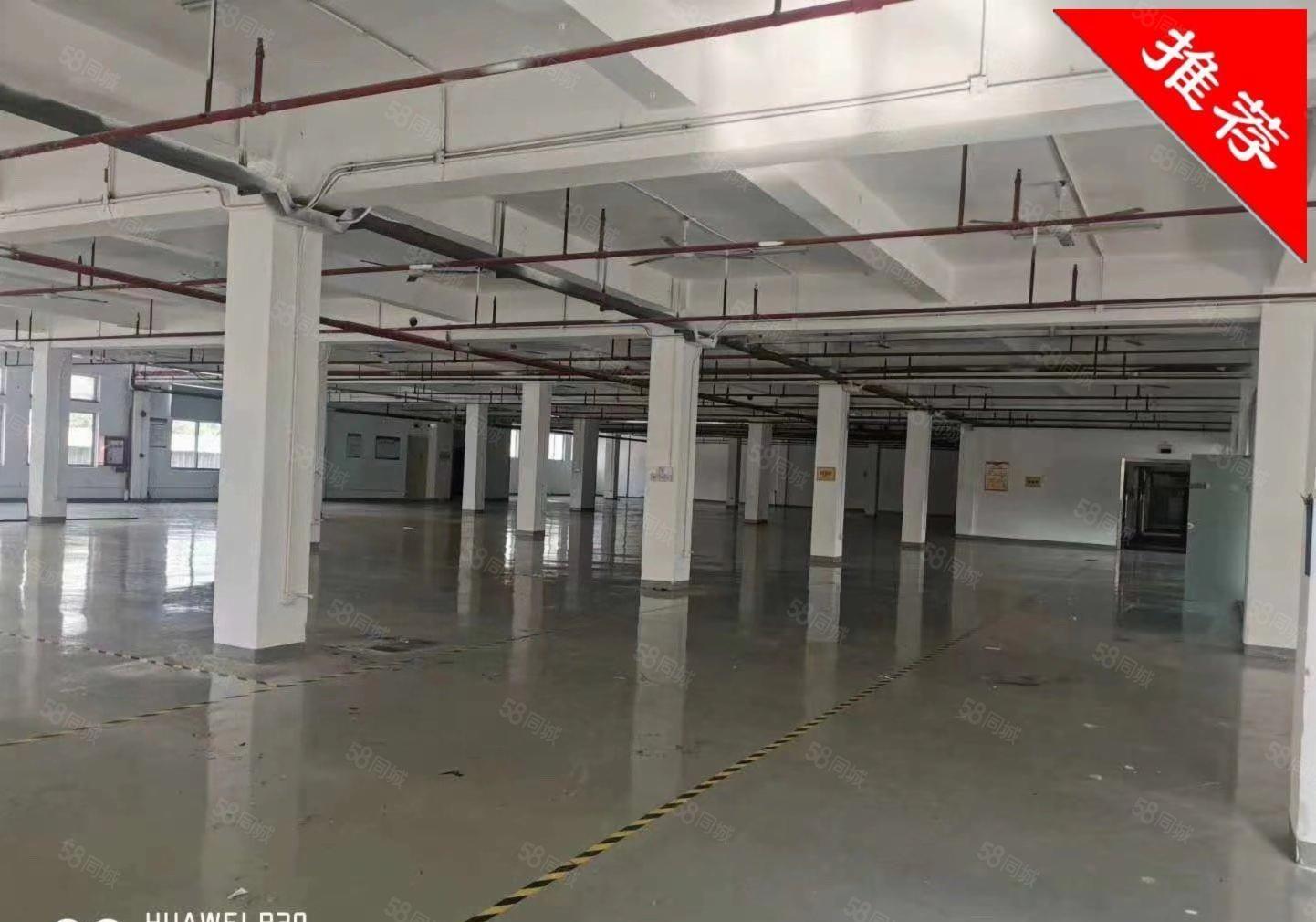 宝安西乡1000平起租可办公，生产，电商，研发写字楼厂房出租