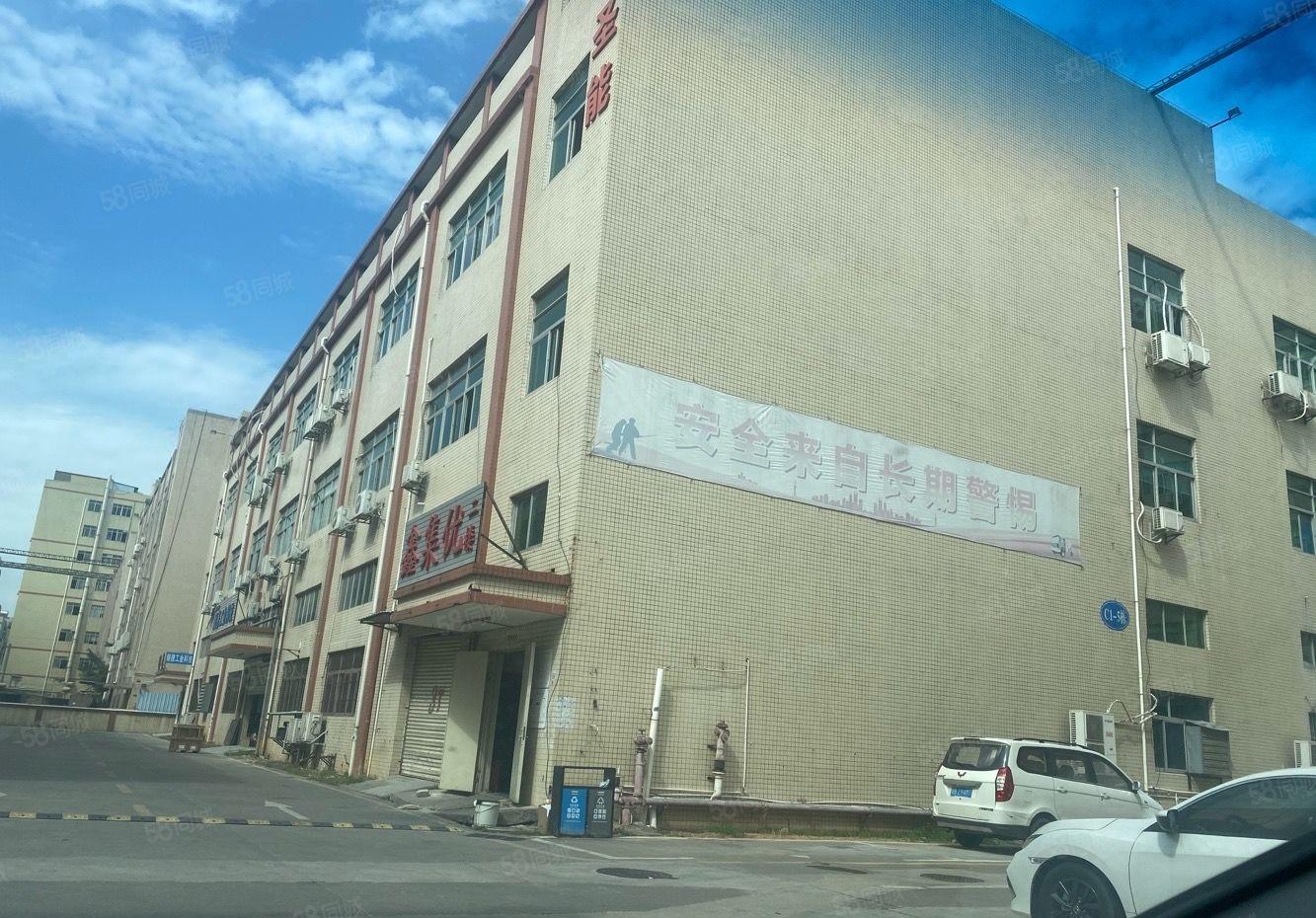 沙井镇共和原房东厂房共8栋50000平大小分组招租