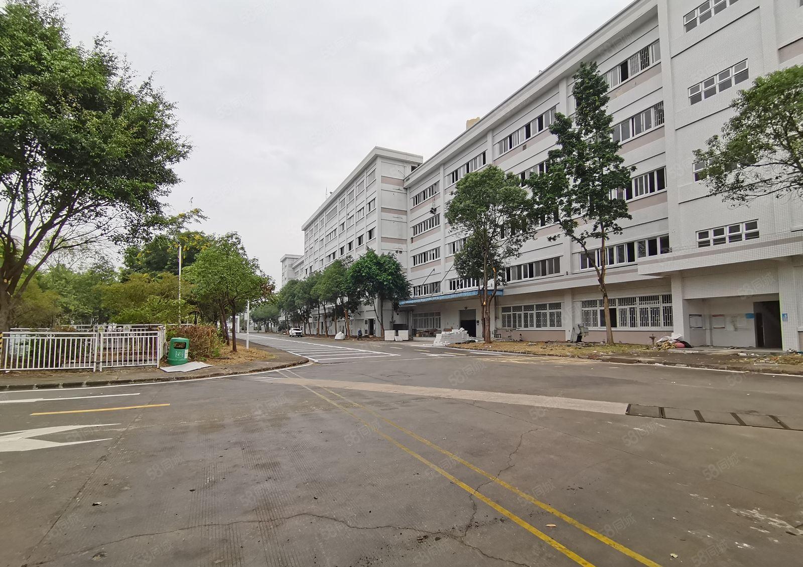 原房东，不限电石岩3000平红本厂房仓库 物流仓库大小分租。