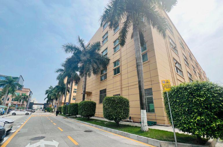 宝安沙井松福大道原房东10000平可分租独门独院红本厂房6米