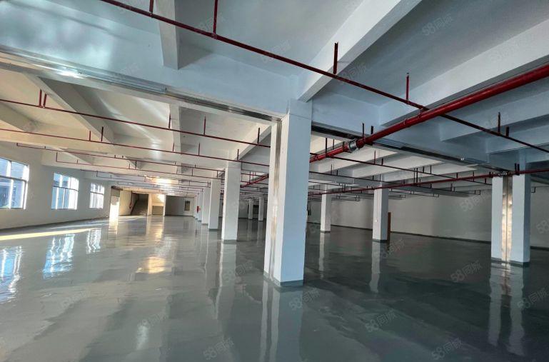 松岗107国道 原房东整栋厂房2000平方 500平起租