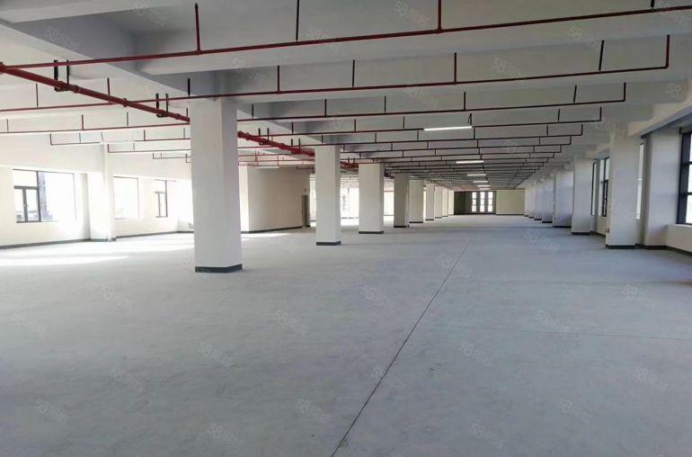107国道全新高新产业园厂房出租3楼1500平3吨电梯可分组