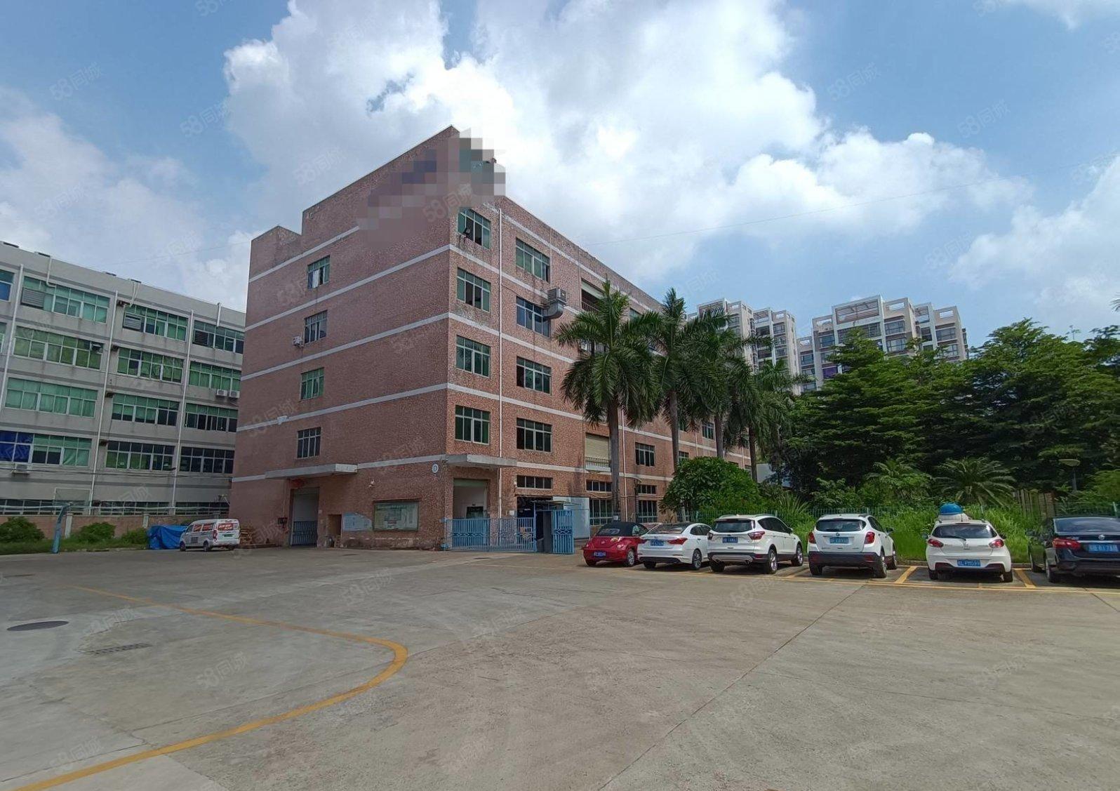 石岩北环新出一楼960平厂房仓库出租精装修办公室可分租