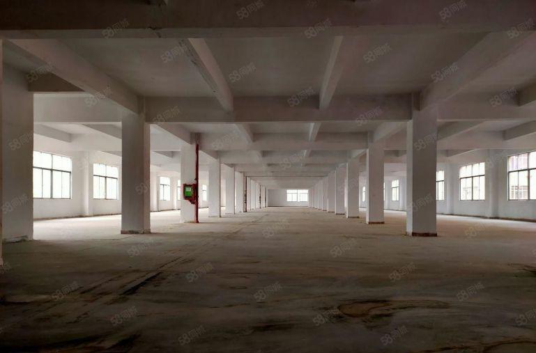 宝安西乡桃源居2000平可分租低价 精装修办公室厂房仓库出租