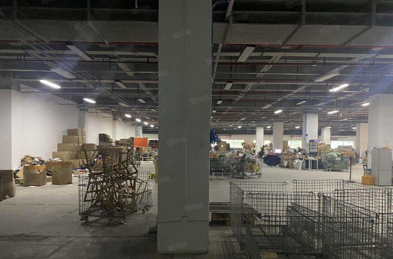 松岗厂房出租10000平原房东红本独栋厂房可分租1000平起