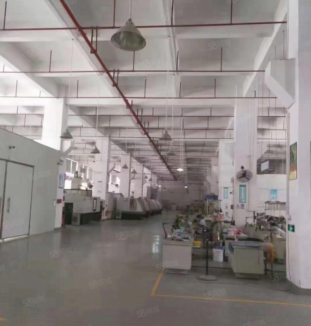 西乡107国道附近一楼1800平高度7米部分带装修水电到位