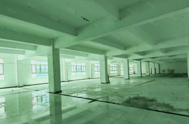 20元每平大型工业园区厂房880平水电到位实惠实用