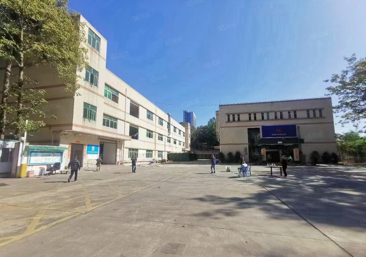 松岗东方新出独院厂房7250平方出租可分租