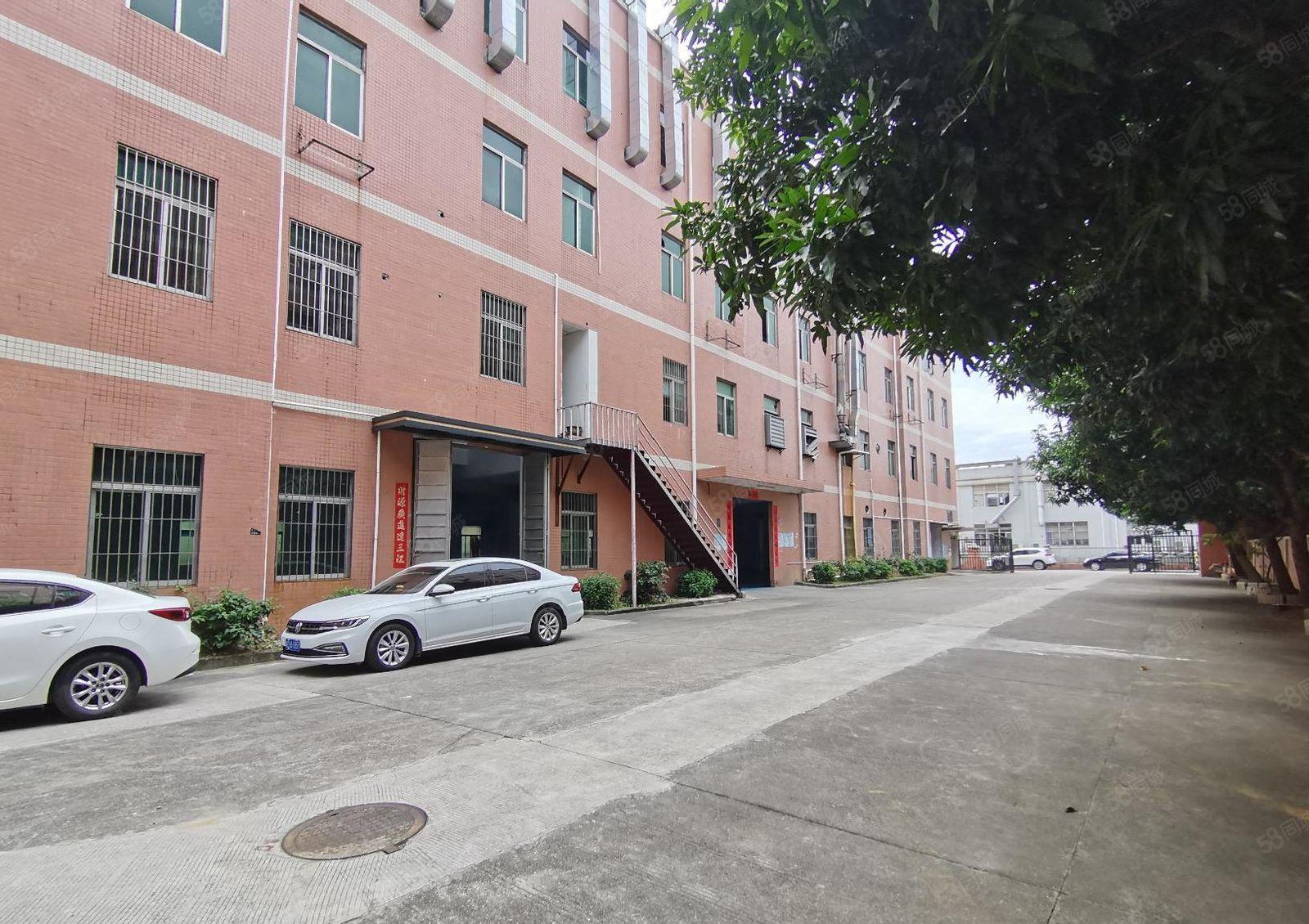 沙井高新区800平至5000平一二楼仓库厂房出租独院可分租