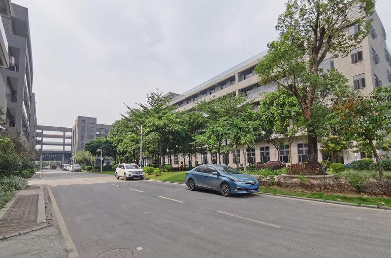 宝安西乡村委签合同.实际面积出租 生产办公电商科研展厅急租