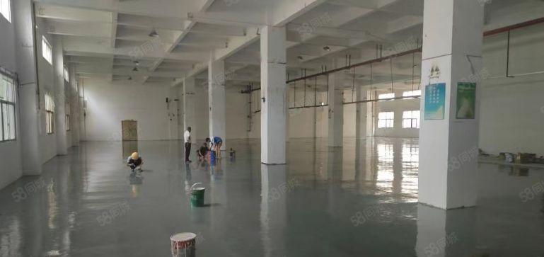 松岗江边新出一楼2580平米高度7米水电齐全