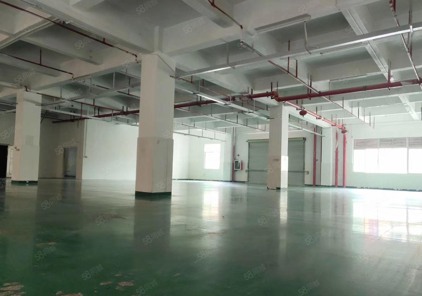 宝安西乡固戍独门独院标准厂房600平出租大小可分