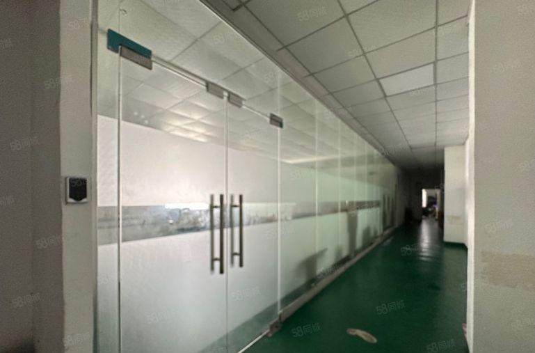 24元松岗溪头原房东独门独院3000平精装修厂房实际面积