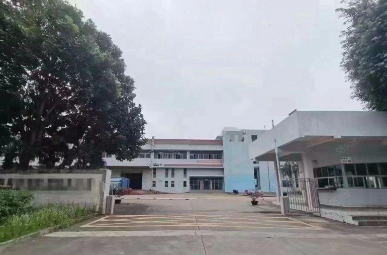 沙井独门独院物流仓库一楼实际面积9000平方的厂房出租