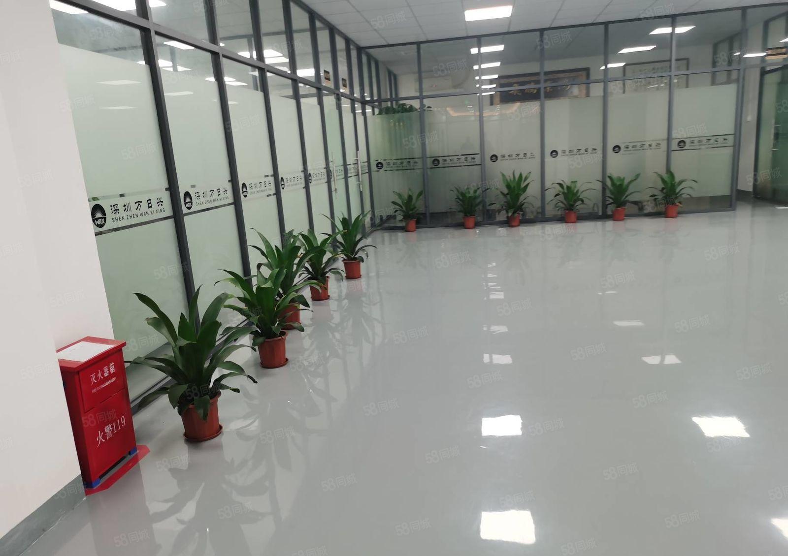 福永原房东红本8800平独院仓库厂房出租无公摊可分租方便招工