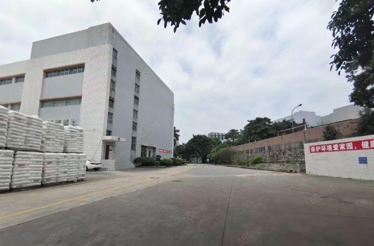 石岩花园式红本厂房一楼4280平方出租，楼上4280平方可看