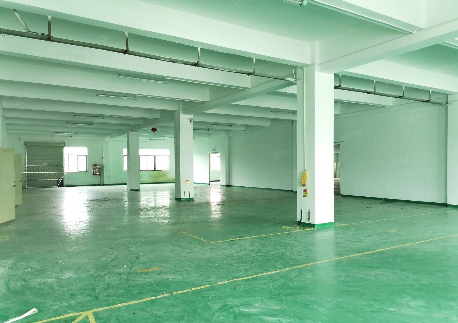 沙井独栋三楼2400平方出租可分租