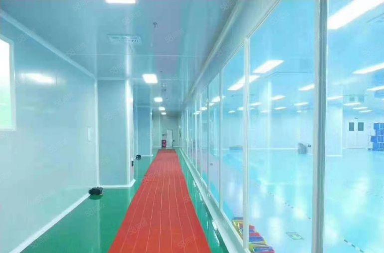 1500松岗楼岗无尘车间厂房出租带装修实际面积无转让费过环