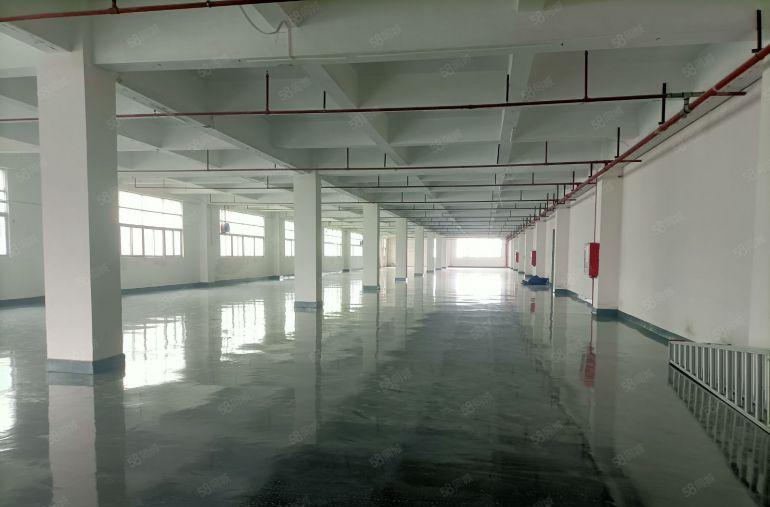 小面积50平起分租福永高速出口地铁口附近2000平厂房出租