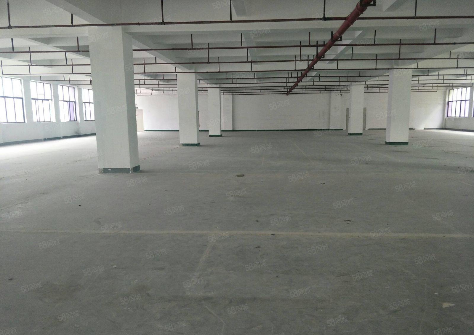 宝安西乡黄田大型工业园标准厂房1500平出租大小可分