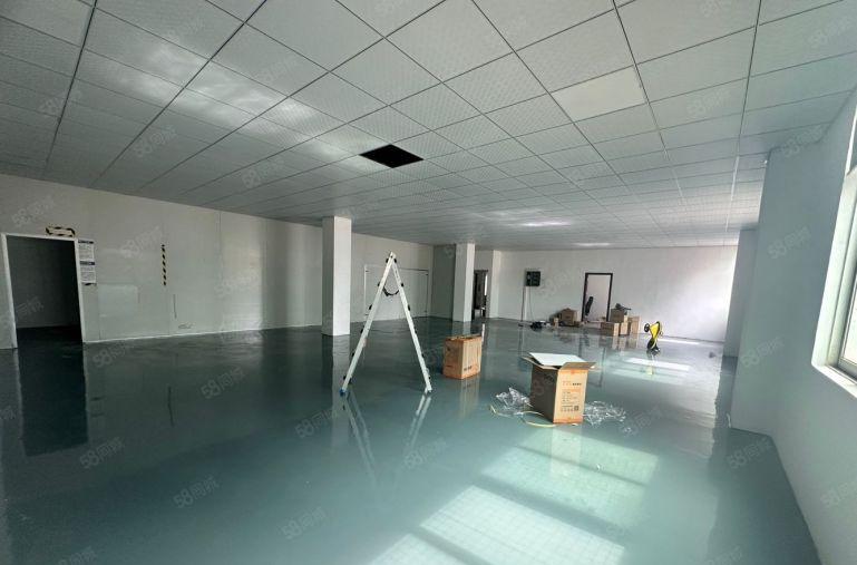 沙井上星楼上300平带装修厂房水电齐全