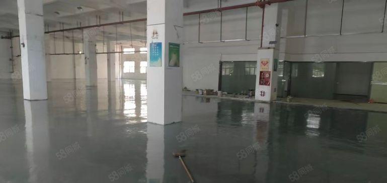 松岗江边新出一楼2580平米高度7米水电齐全